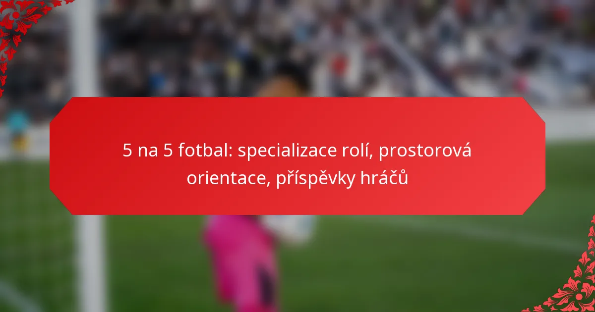 5 na 5 fotbal: specializace rolí, prostorová orientace, příspěvky hráčů