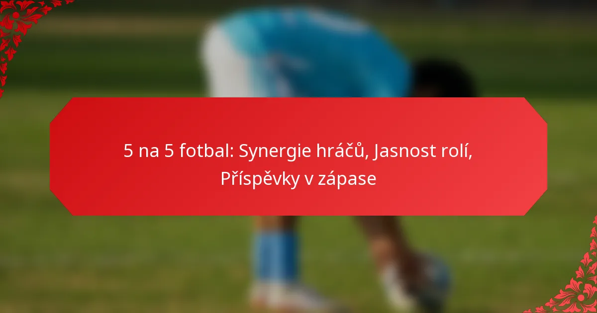 5 na 5 fotbal: Synergie hráčů, Jasnost rolí, Příspěvky v zápase
